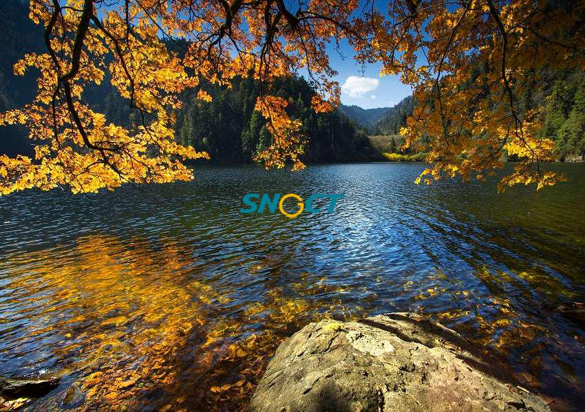 旅游規(guī)劃的主要類型有哪些？