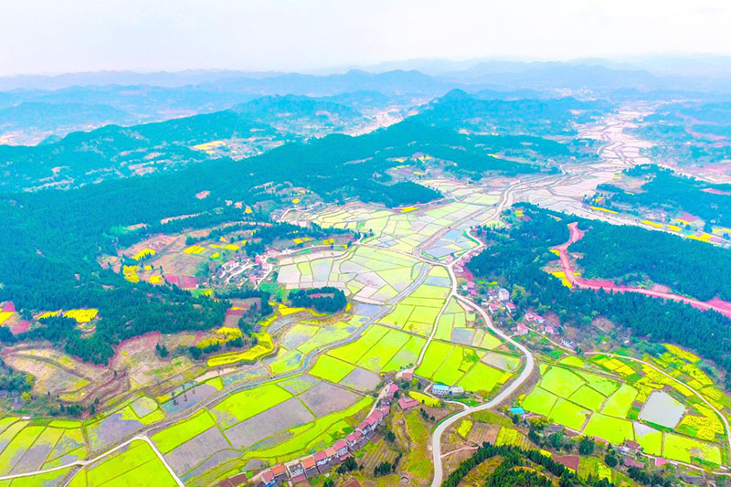 十里荷畫鄉(xiāng)村旅游景區(qū) 十里荷畫鄉(xiāng)村旅游景區(qū).jpg