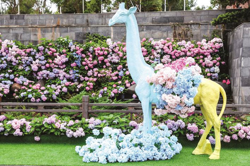 湖南：長(zhǎng)沙縣舉行首屆繡球花文化旅游節(jié)，以文旅融合助推鄉(xiāng)村振興發(fā)展之路！